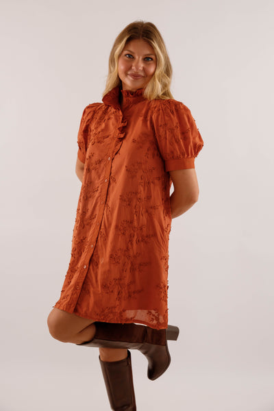 A Nice Introduction Dress-Rust