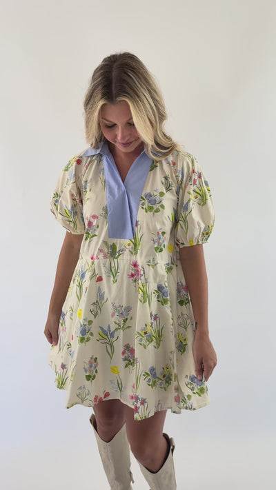 More Understanding Dress